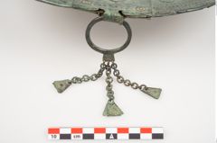 Foto von Bronzebreitrandschale (NHMW-PRAE-025543)